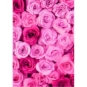 Edible Wafer Paper Printed Sheet A4 Size