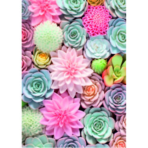 Edible Wafer Paper Printed Sheet A4 Size