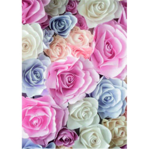 Edible Wafer Paper Printed Sheet A4 Size