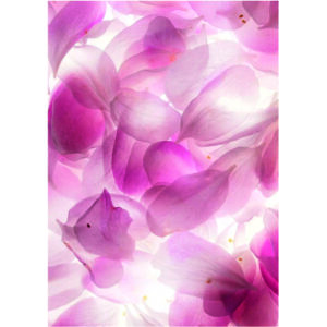 Edible Wafer Paper Printed Sheet A4 Size