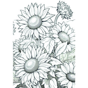 Edible Wafer Paper Printed Sheet A4 Size