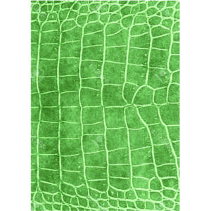 Edible Wafer Paper Printed Sheet A4 Size